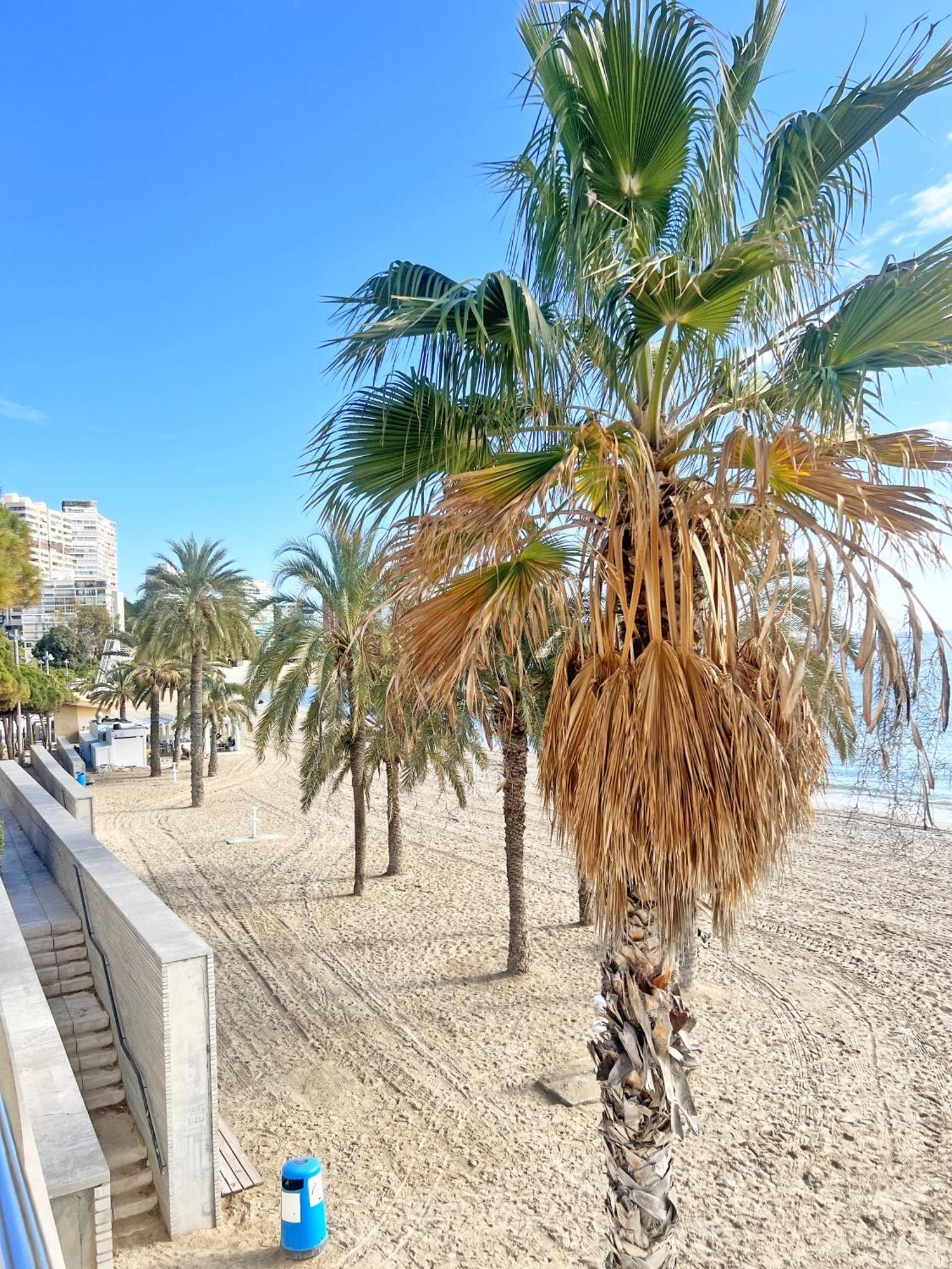 A 100M De La Playa. 2 Hab. A/C Apartment Alicante Luaran gambar